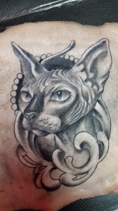 cat-sphynx-tattoo